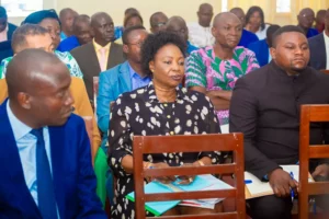 Journée d'échanges professionnells